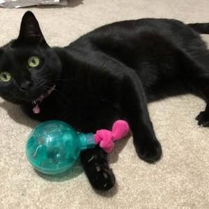 Meet your Posher, Jason